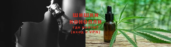 крисы Богданович