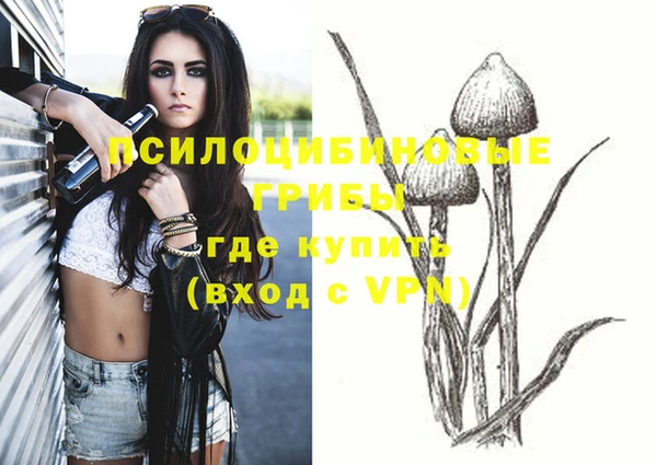 крисы Богданович