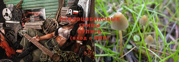 крисы Богданович