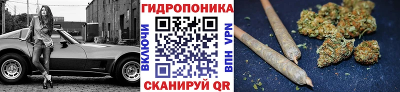 Бошки марихуана марихуана  Купить  Лебедянь 